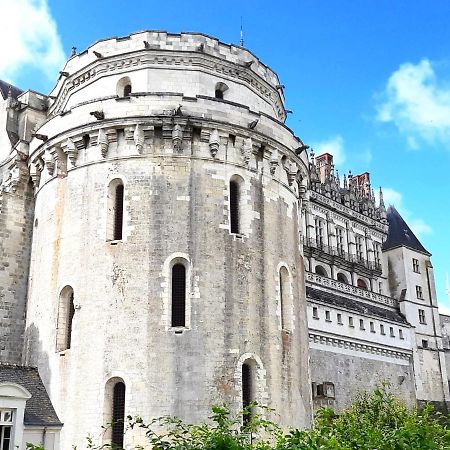 En Plein Coeur : Charmant Gite Centre Amboise Esterno foto