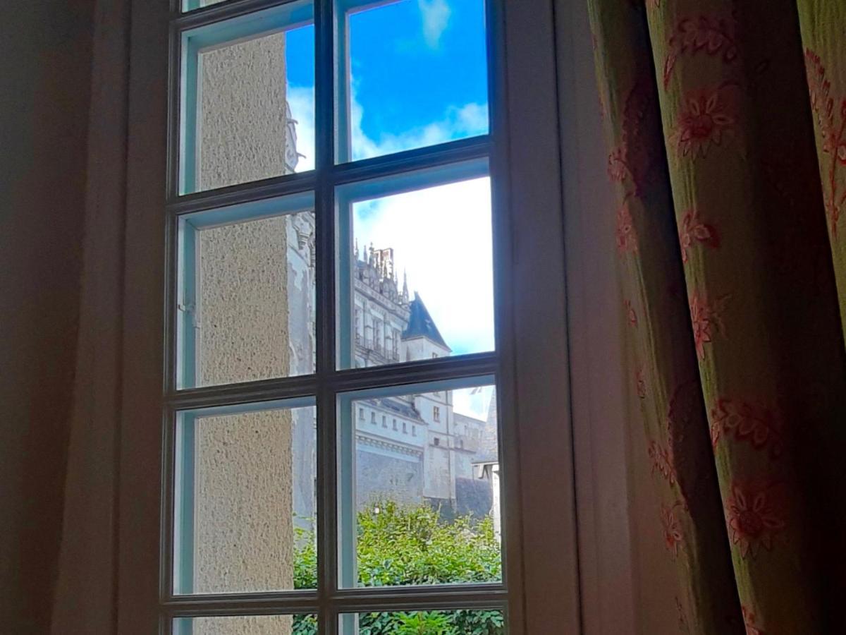 En Plein Coeur : Charmant Gite Centre Amboise Esterno foto