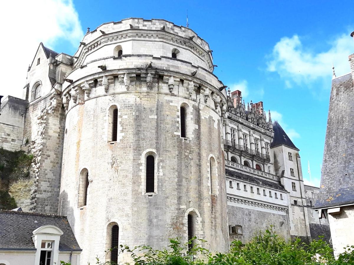 En Plein Coeur : Charmant Gite Centre Amboise Esterno foto