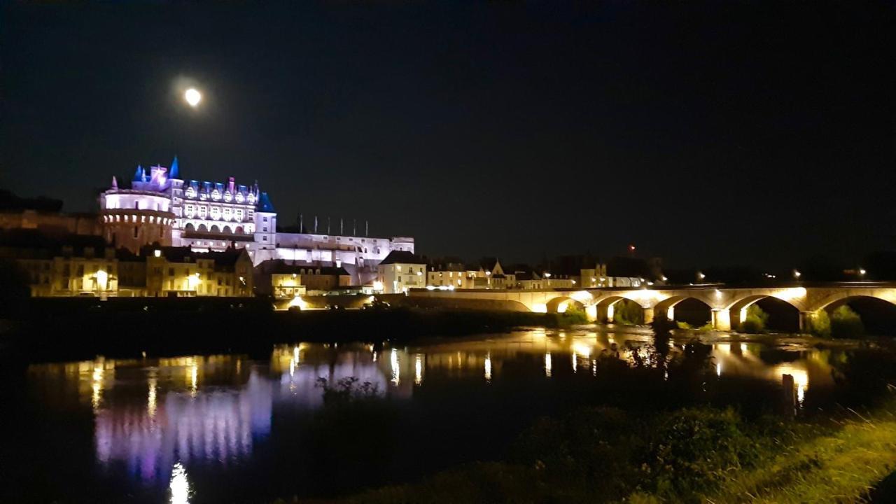 En Plein Coeur : Charmant Gite Centre Amboise Esterno foto